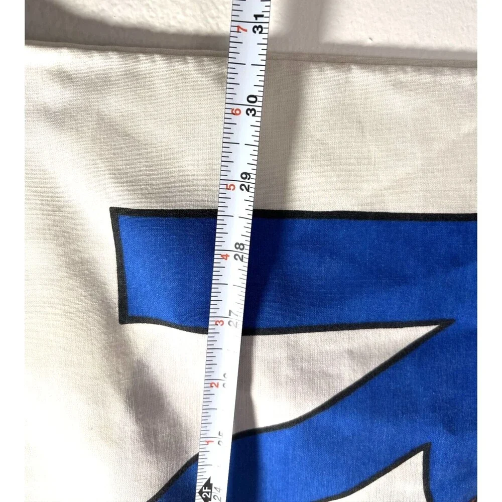 Disney Mickey, Minnie Mouse, Daisy & Goofy Pillowcase VINTAGE Roller Coaster